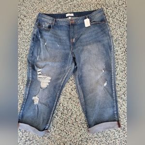 Lane Brant Cropped Jeans